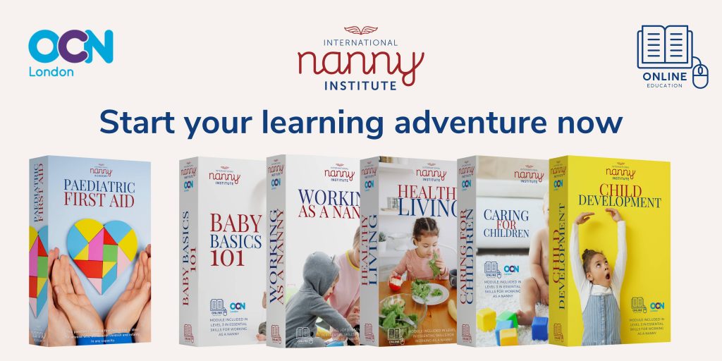 International Nanny Institute
