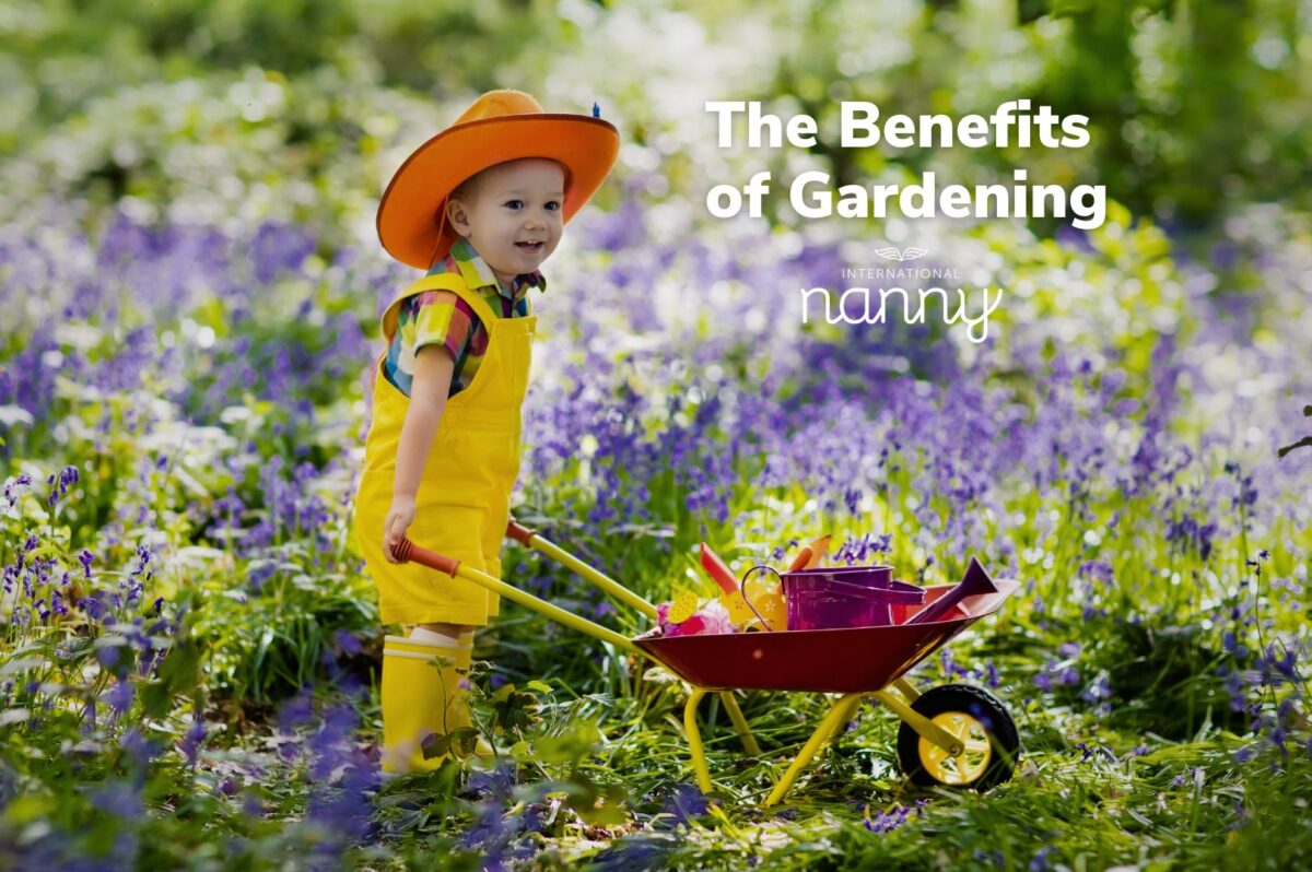The benefits of Gardening