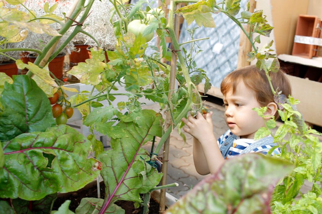 The benefits of Gardening