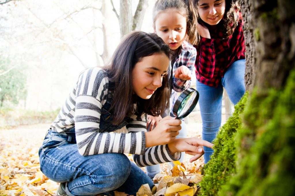 Springtime Activities for Young Children. Nature walks.