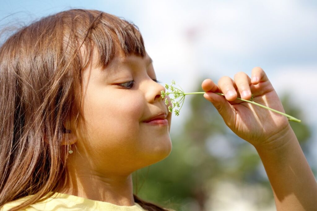 Exploring the Five Senses: Stimulating Infant Development